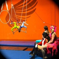 Gallery 3 - Aerial, Acrobatics and Dance Showcase